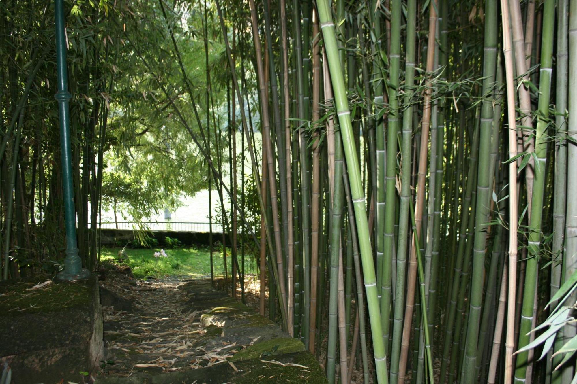 Quinta Da Ermida - Turismo De Habitacao Bed and Breakfast Baião Buitenkant foto