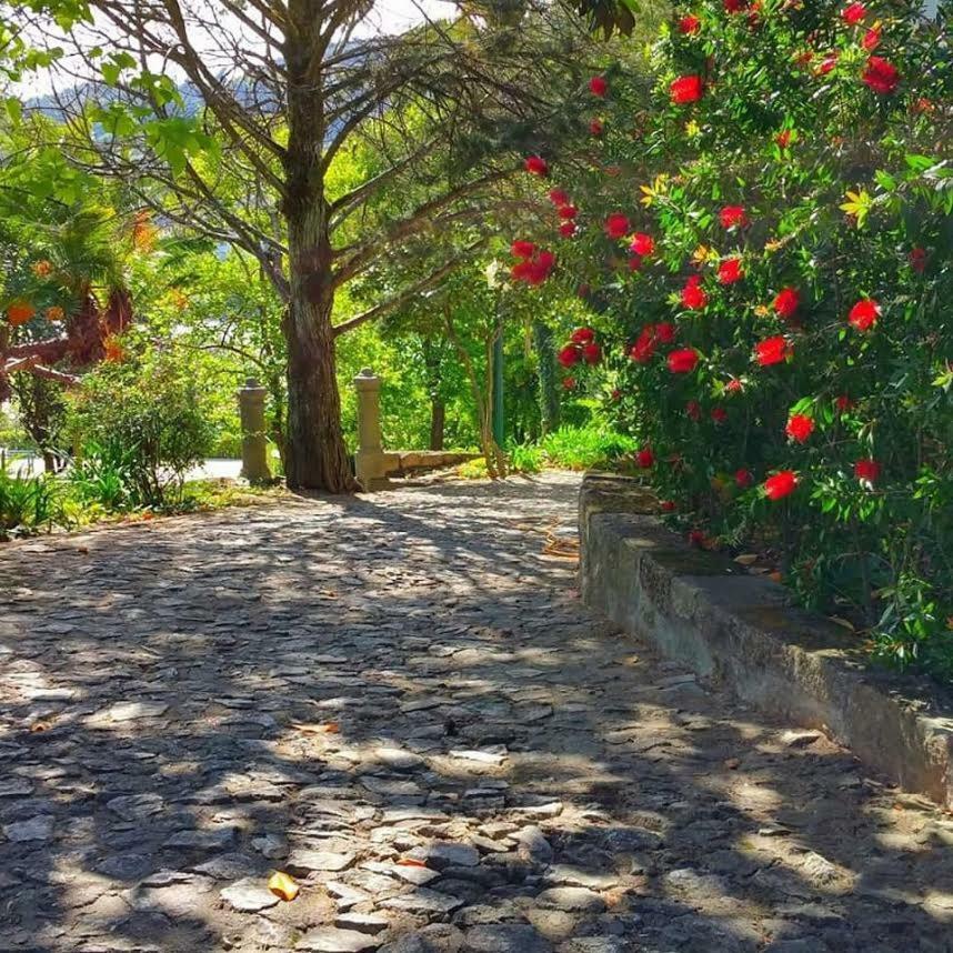 Quinta Da Ermida - Turismo De Habitacao Bed and Breakfast Baião Buitenkant foto